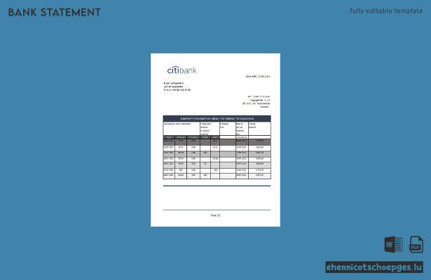Beispiel eines Kontoauszugs der Citibank Schweden (Excel-Vorschau)